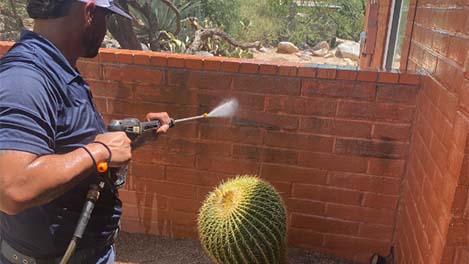 Power washing a brick wall to remove dirt and algae